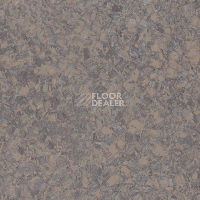 Линолеум Tarkett iq Megalit GRAPHITE SANT 0620 фото 1 | FLOORDEALER